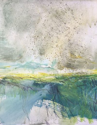 Jacqueline Quinn, 'Sparrowhawk', 30x30cms, Watercolour & Mixed Media